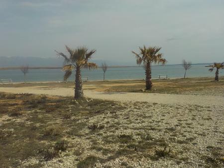 Tengerpart az apartmannál